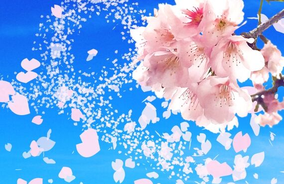 【知能の遅れ】自閉症でも普通学級に入れたい！
