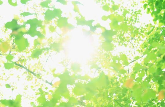 発達障害、学校に行かない子供の悩みにオンライン相談。子育てメソッド神様育児®を使って簡単、最速で子育ての不安を安心の子育てに！ 